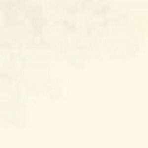 Meet your Posher, Zachary